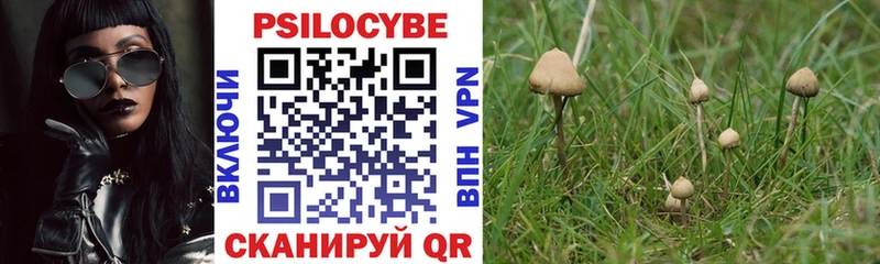 Псилоцибиновые грибы Magic Shrooms  Купить закладки  Новозыбков 