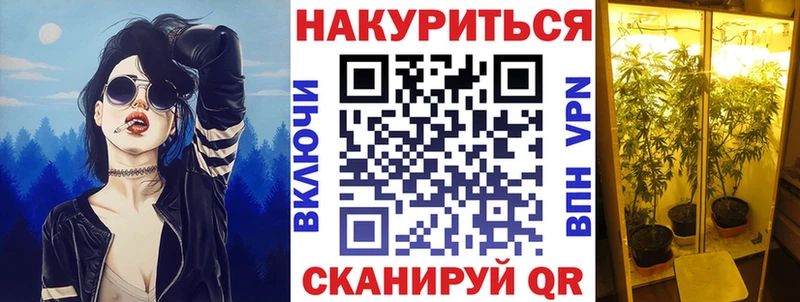 Каннабис конопля  Купить  Новозыбков 